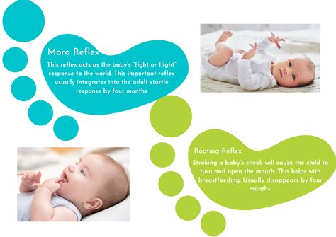 primitive reflexes   link   fight  flight response