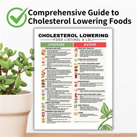 Cholesterol lowering food list hdl and ldl lipid lowering grocery list