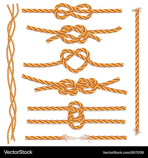 Set of ropes and knots Royalty Free Vector Image