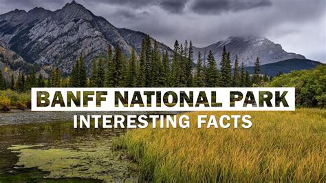 Top 15 Amazing Facts About Banff National Park Youtube