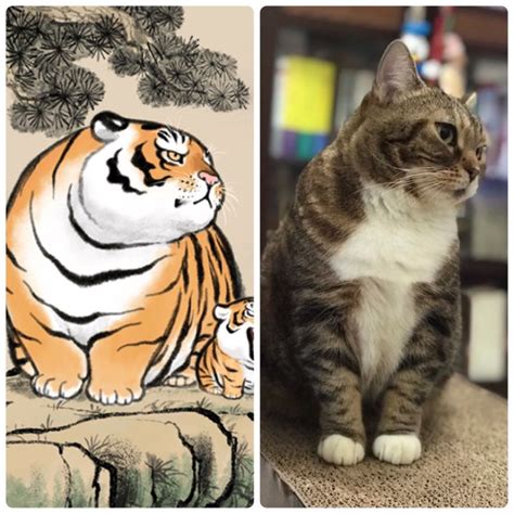 Bu2ma tiger