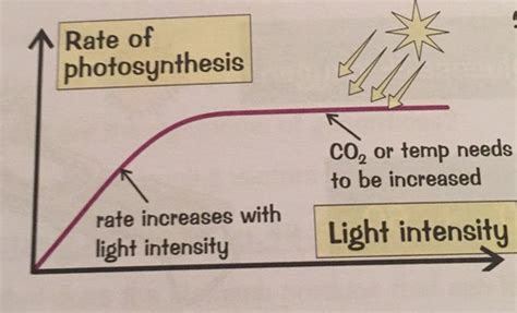 Bioenergetics Flashcards Quizlet