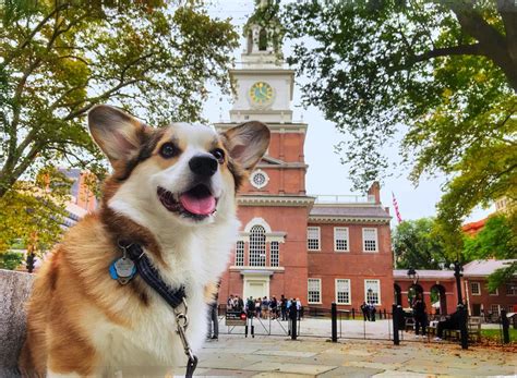 BringFido’s Ruff Guide to Pennsylvania - BringFido