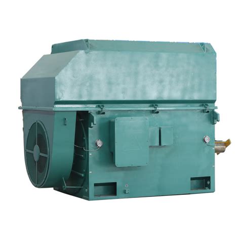 Three Phase Squirrel Cage Asynchronous Electric Induction Motor China