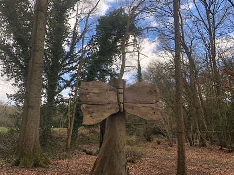 Woodland Walk at the Pinewood Centre