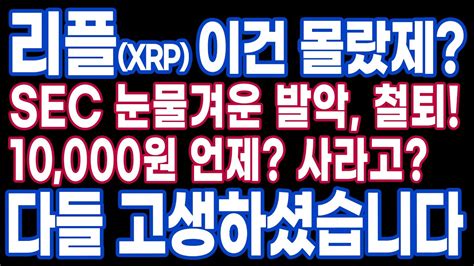 리플xrp 소송 이건 몰랐지 Sec 눈물겨운 발악 10000원 언제 다들 고생하셨습니다ㅣ리플코인리플소송sec소송