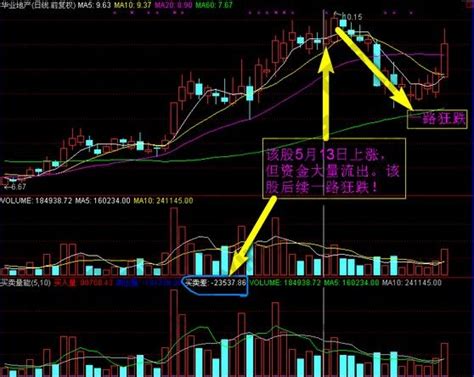 盘口分析和分时解读有什么奥秘 赢家财富网