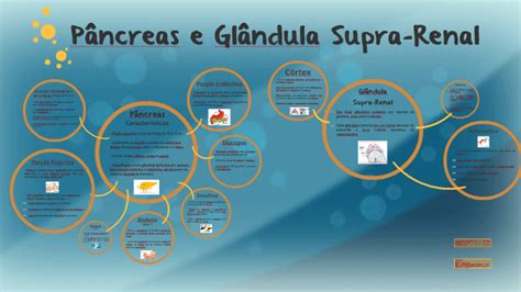 Glândula Supra Renal Produz Qual Hormônio - Pâncreas e Glândula Supra-Renal by Sarah Meyer on Prezi