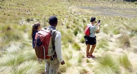 Tagesausflug Zur Besteigung Des Kilimandscharo Kilimanjaro FREETOUR