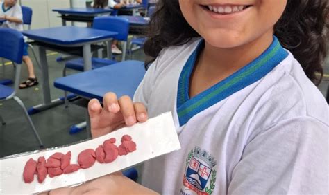 Escolas Municipais - Praia Grande