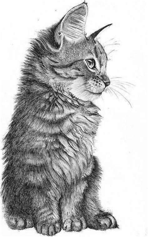 85 Simple And Easy Pencil Drawings Of Animals For Every Beginner – Page ...