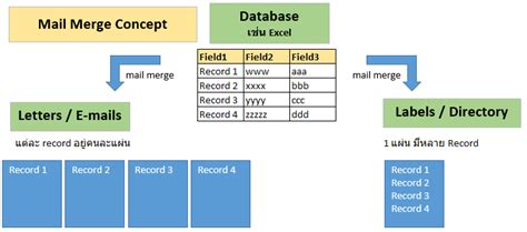 How to mail merge labels from excel in word - geserkart