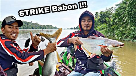 Strike Patin Babon Tarikannya Luar Biasa Youtube