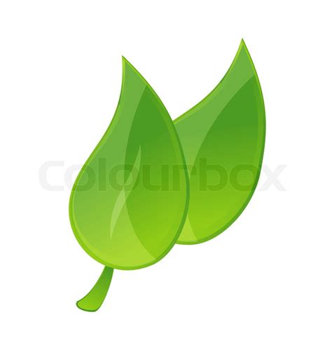 shiny nature leafs sign green color isolated | Stock vector | Colourbox