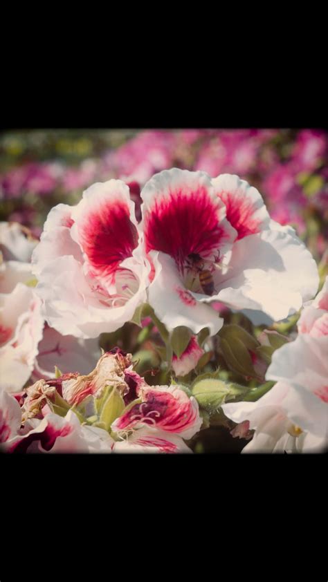 xumiiz • Instagram photos and videos
