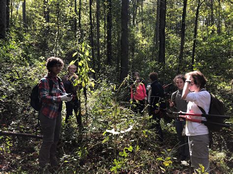 Invasive Plant Removal Workday at Richmond Hill in Asheville, NC