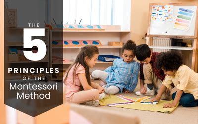 Five Principles Of The Montessori Method School Success