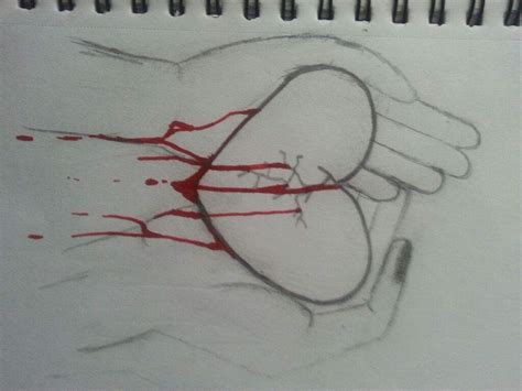 Bleeding Heart Drawing at PaintingValley.com | Explore collection of ...