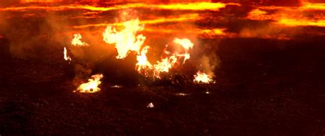 Above all a rescuer on Tumblr