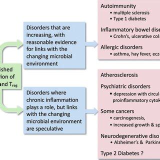 The Hygiene Hypothesis and Darwinian Medicine | Request PDF
