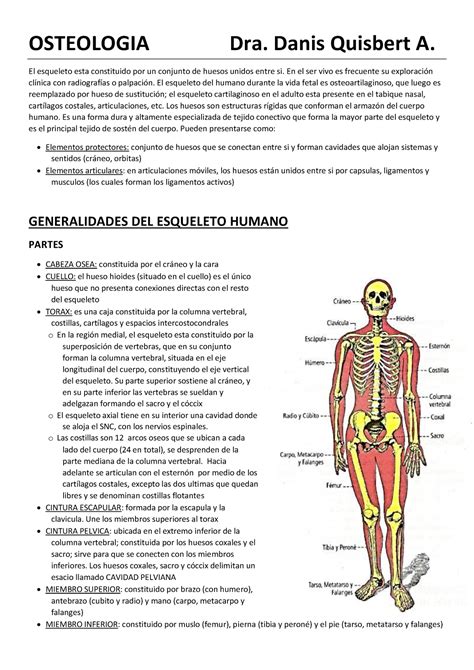 Osteologia DE LA Cabeza Y Cuello Pdf OSTEOLOGIA Dra Danis Quisbert A