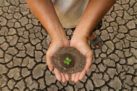 La Oms Pide Que La Salud Est En El Centro De Los Planes Clim Ticos