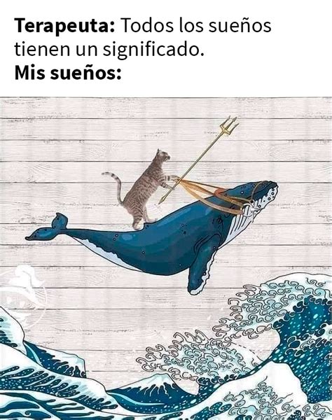 Fotos Y Memes Que Captan Perfectamente C Mo Es Vivir Con Gatos