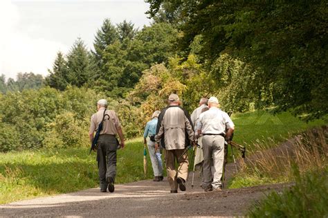 Senioren Wandern Im Wald Stock Bild Colourbox