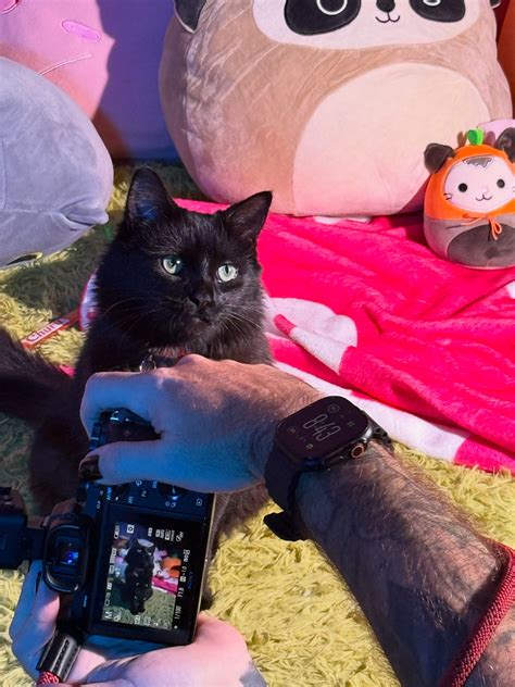 Skylar Calico - Skylar Calico added a new photo.