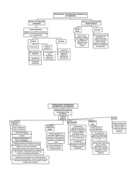 Mapa Conceptual Propagacion Y Distribucion Geogrtafica De Parasitos