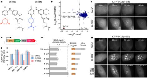 Nat Chem Biol【前沿】 可编程蛋白质分泌系统治疗糖尿病、高血压和炎性疼痛 知乎