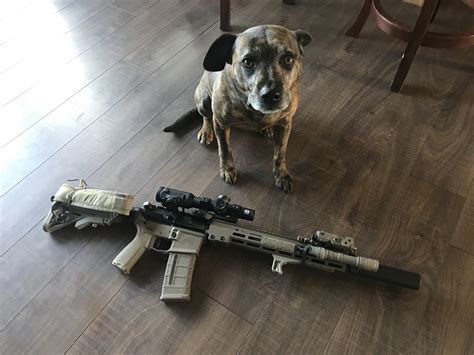 4099 best Two Tone images on Pholder | Ar15, Mildlyinteresting and Watches