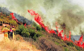 Investigan El Origen Del Fuego De Cortes Que Pudo Ser Una Colilla