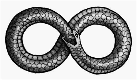 Ouroboros Png Picture Snake In Figure 8 Transparent Png Kindpng