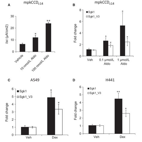 Effect Of Corticosteroids On Na Transport And On Sgk V Expression