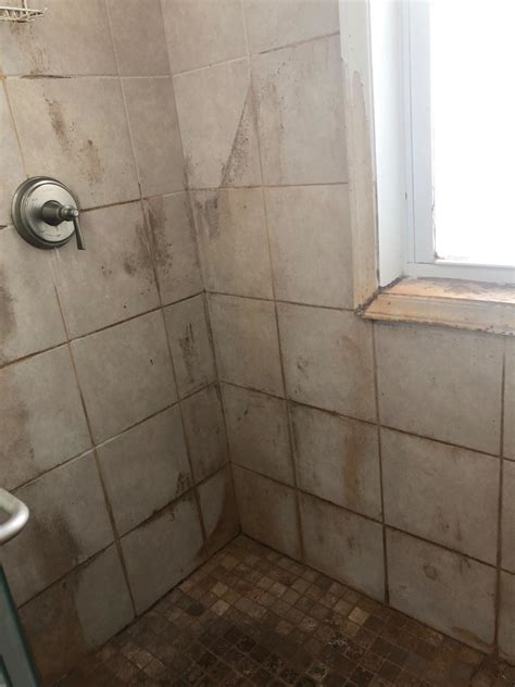How To Clean Dirty Plastic Shower at Keith Herrera blog