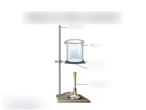 Laboratory Equipment Diagram Quizlet