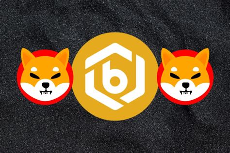 To Celebrate Shibarium Launch Bitrue Announces Over 10 Billion SHIB