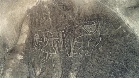 mysterious geoglyphs discovered  peru dw
