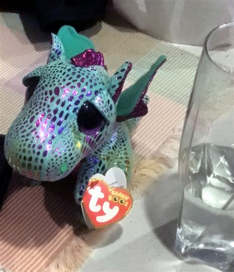 Dragons Around the Home - Jan 2020 Ezine - Dragonsinn.net