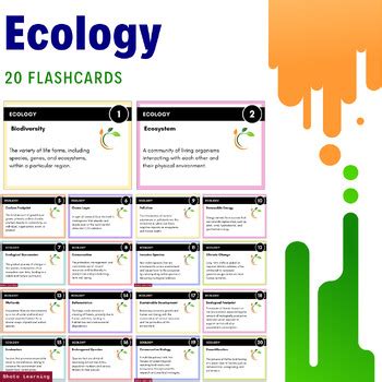 Ecology Essentials Flashcards: 20 Key Concepts for Environmental Mastery