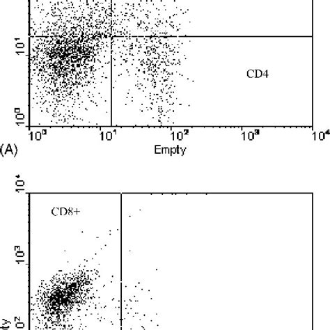 Flow Cytometry Analysis Using Forward Fsc Cell Size And Side Scatter