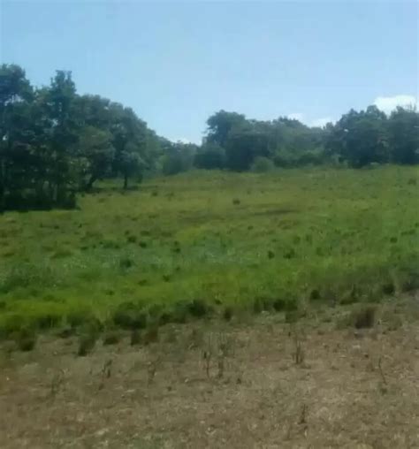 acre agricultural land  lease  narok propscout