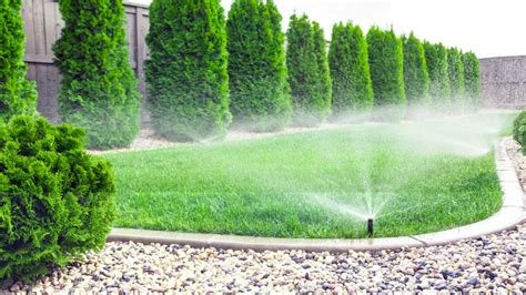 How Long To Water Your Lawn Best Tips For 2024