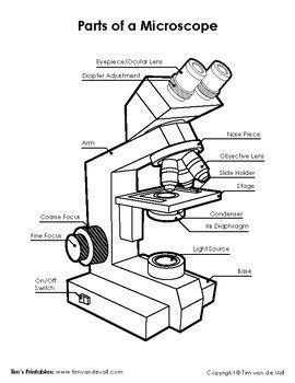 Microscope Worksheet – Kidsworksheetfun