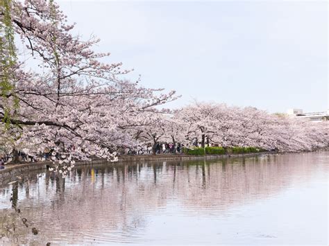 Ueno Park Tokyo, Japan - Condé Nast Traveler