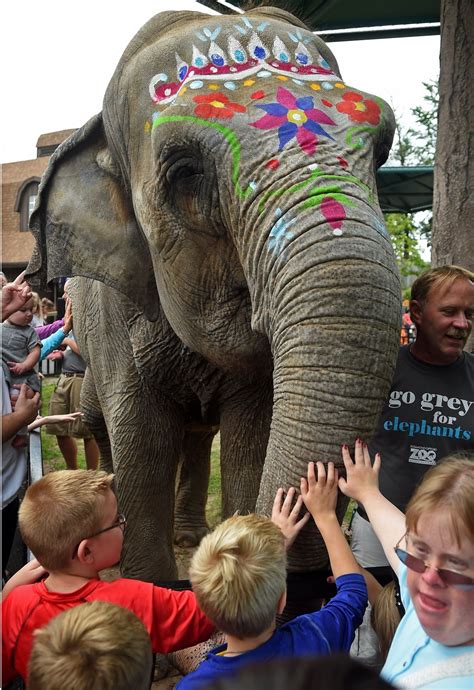 Syracuse zoo responds to worst 10 elephant zoos list: ‘we are shocked