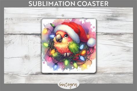 Christmas Parrot V Entangled In Lights Square Coaster Subli