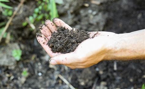 Nueva Charla Sobre Nutrientes Naturales Para La Huerta Agroecol Gica