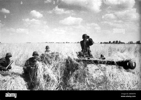 Deutsche Soldaten Der Ss Panzer Division Wiking Betreiben Eine